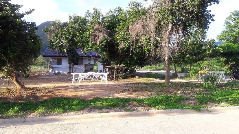 house under constructin1