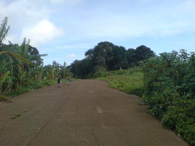 the property is 50 meters away from the national road