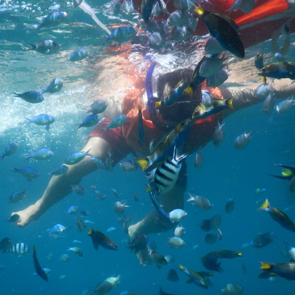 snorkeling in Siete Pecados