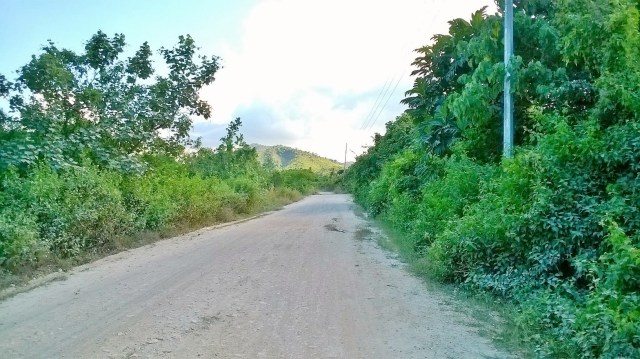 barangay road inside the property